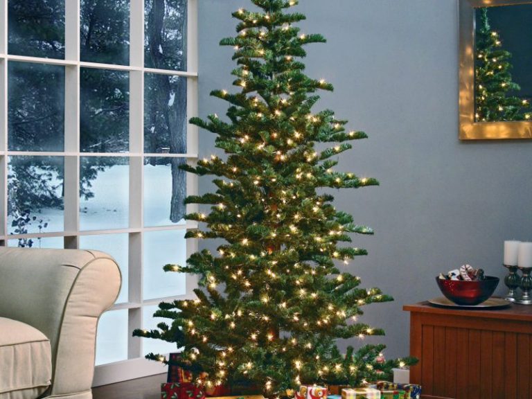 Slim Christmas Trees